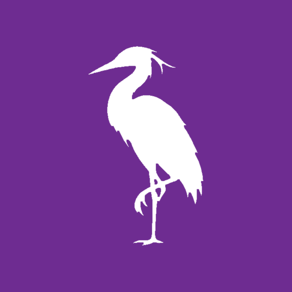 Mulberry Heron
